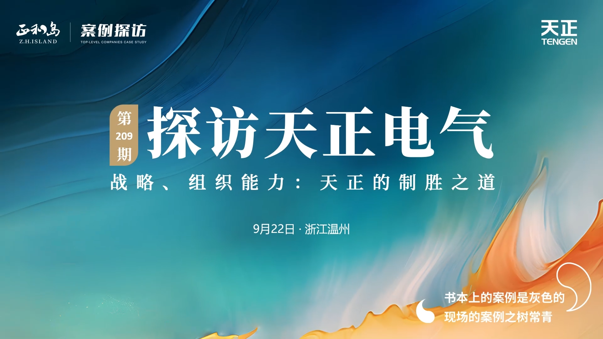 正和岛走进麻花星空mv麻花星空mv高清完整，探访制胜之道